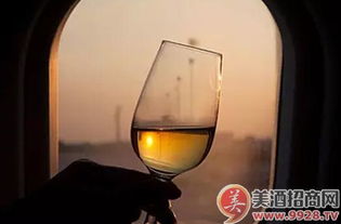 中國酒精飲料進(jìn)口市場 繁榮景象背后的消費(fèi)升級(jí)與多元選擇
